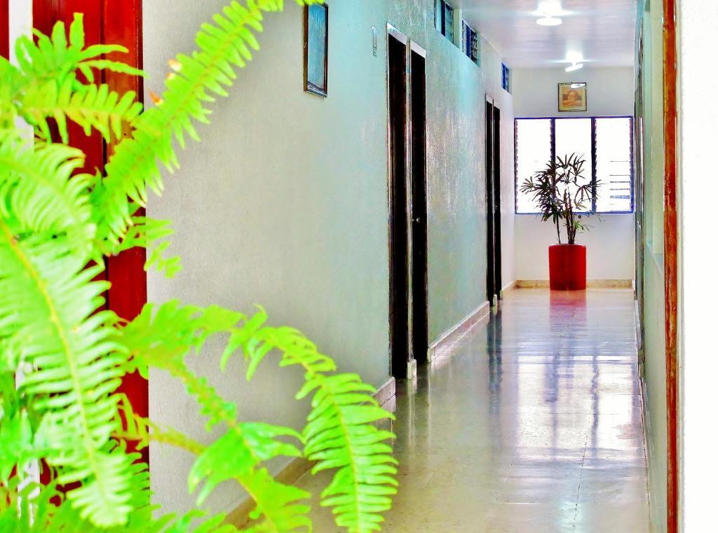 Hotel Acuario Catemaco Esterno foto